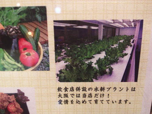 雅屋3