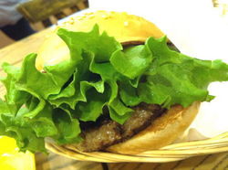 FRESHNESS BURGER5