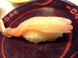 NEC_1308.JPG